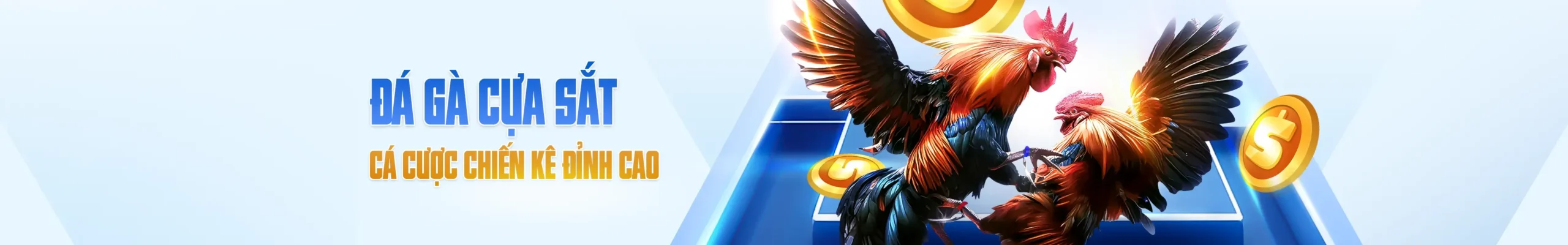 đá gà 8live