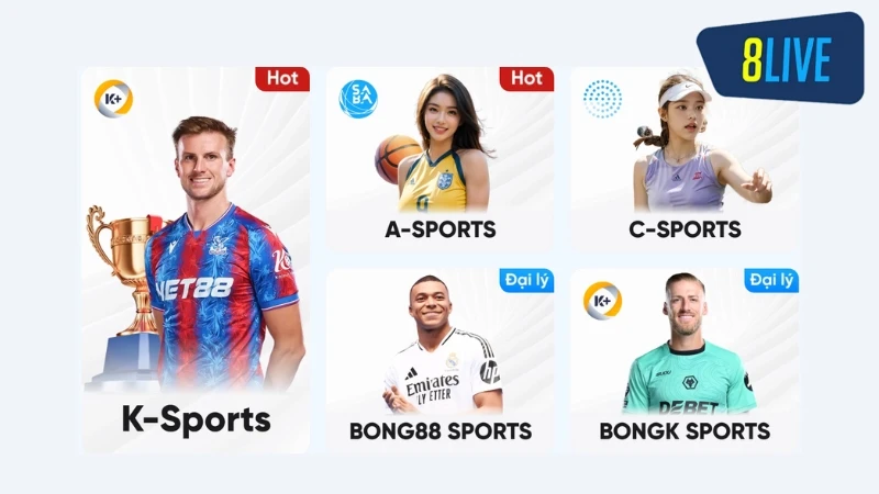 Danh mục cá cược Thể thao thu hút hàng triệu lượt chơi mỗi ngày